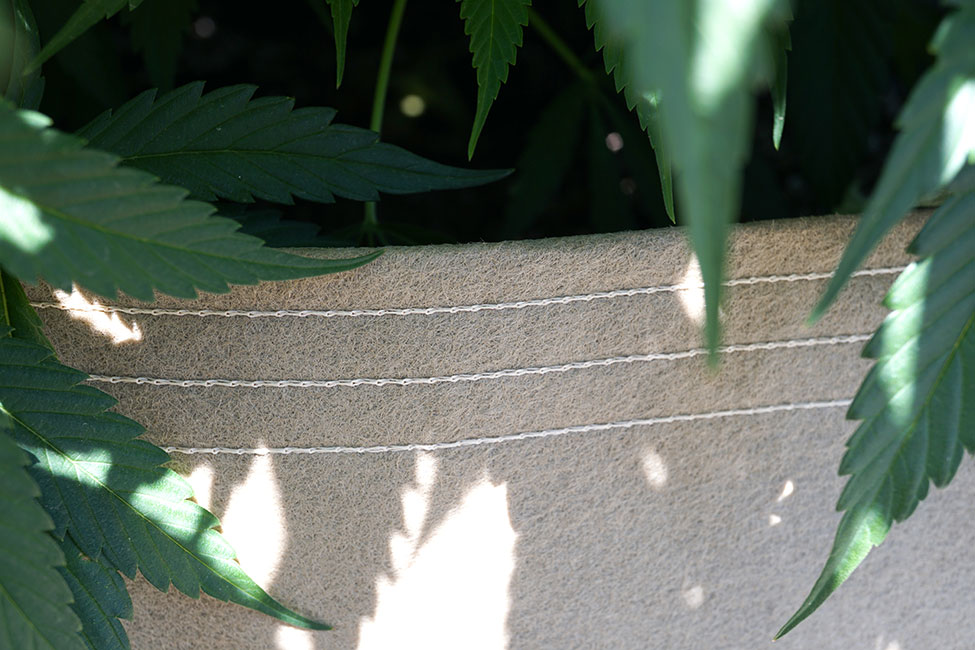 300 Gallon Tan Triple Hem Closeup With Cannabis Leaves