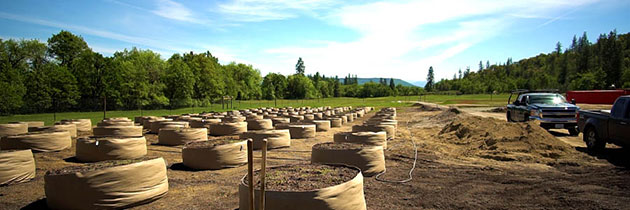 Fabric pots at large scale no-till farm.
