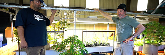 Kevin Jodrey with young plants in indoor grow area.