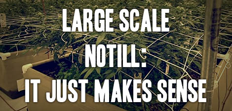 Large Scale Notill: It Just Makes Sense