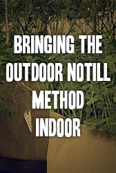 Bringing the Outdoor Notill Method Indoor