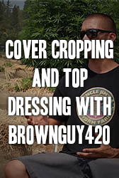 No-Till Cover Cropping and Top Dressing with BrownGuy420