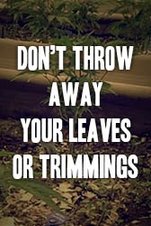 Don't Throw Away Your Leaves or Trimmings