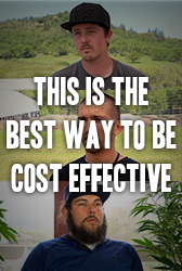 This is the best way to be cost effective