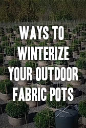 Ways to Winterize Your Outdoor Fabric Pots