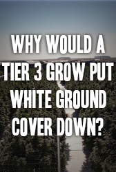 Why would a tier 3 grow put white ground cover down?