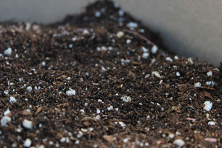Detailed close up picture of soil.