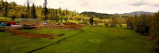 SOLO Farms at a distance.