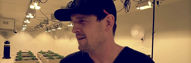 Steve Cantwell in indoor cannabis grow room.
