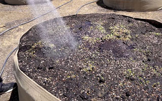 Watering the soil in a tan fabric pot.